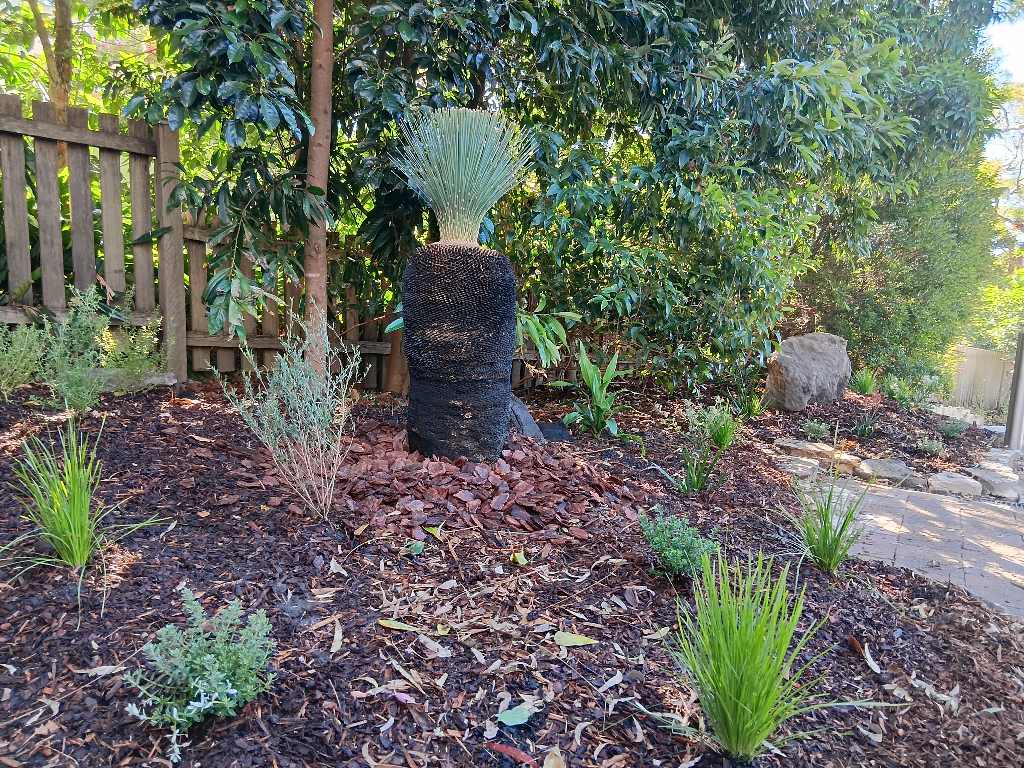 After: Castlecrag