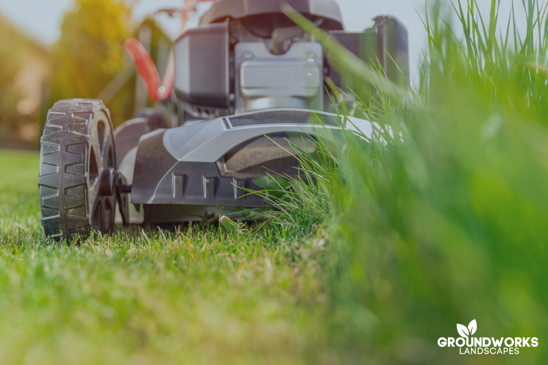 Garden Maintenance Sydney